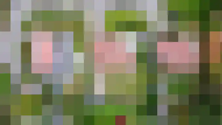 Bosweg 9 Burgh-Haamstede thumbnail 34
