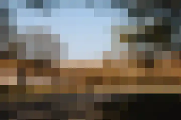 Bosweg 9 Burgh-Haamstede thumbnail 37