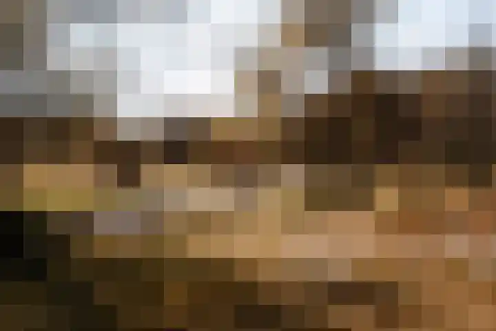 Bosweg 9 Burgh-Haamstede thumbnail 38