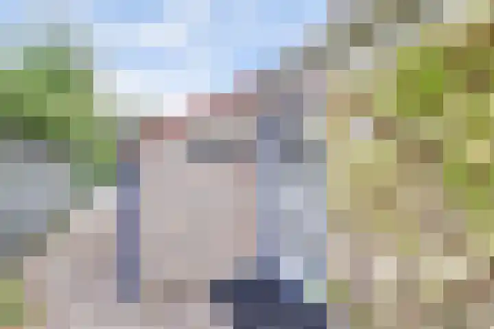 Bosweg 9 Burgh-Haamstede thumbnail 4