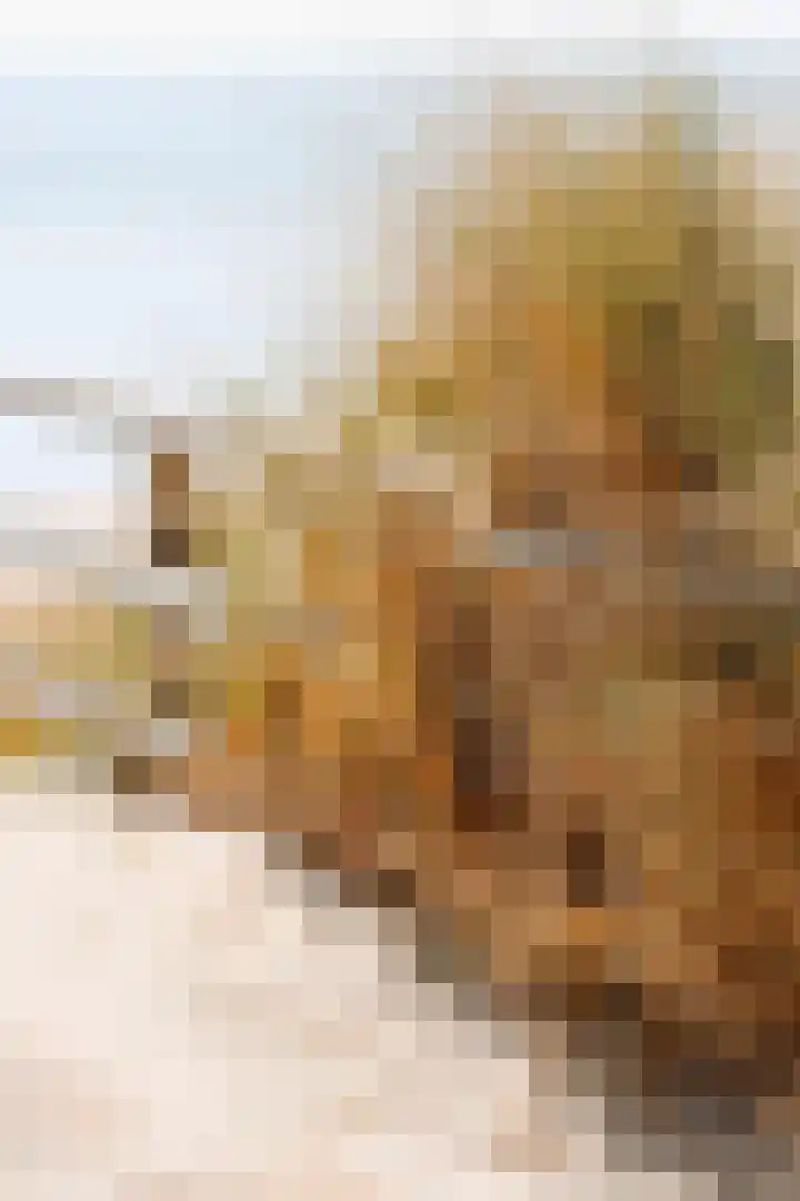 Bosweg 9 Burgh-Haamstede thumbnail 40