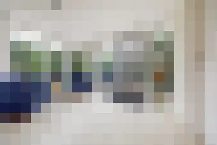 Bosweg 9 Burgh-Haamstede thumbnail 8