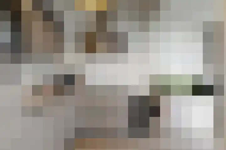 Bosweg 91 Geleen thumbnail 12