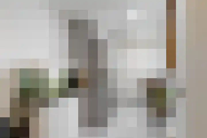 Bosweg 91 Geleen thumbnail 13