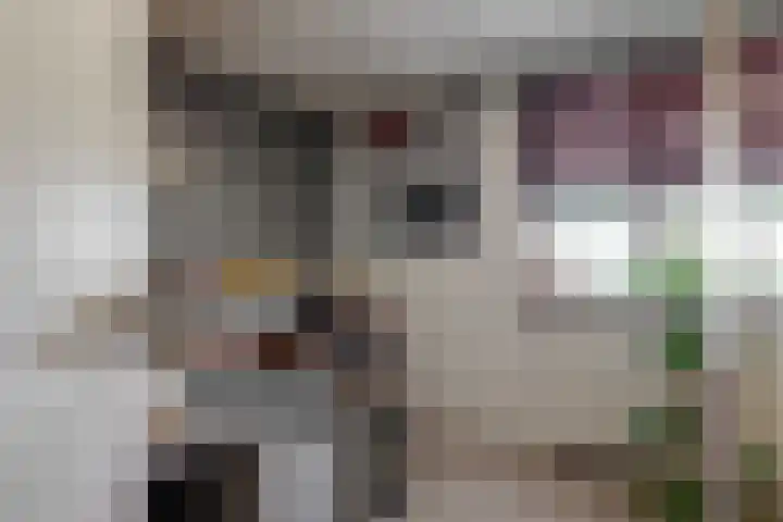 Bosweg 91 Geleen thumbnail 18