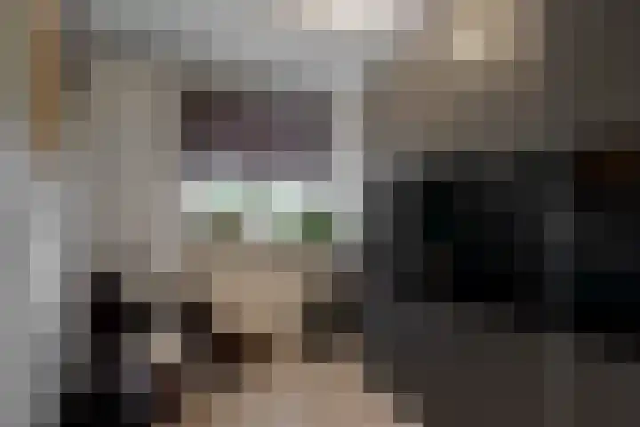 Bosweg 91 Geleen thumbnail 21