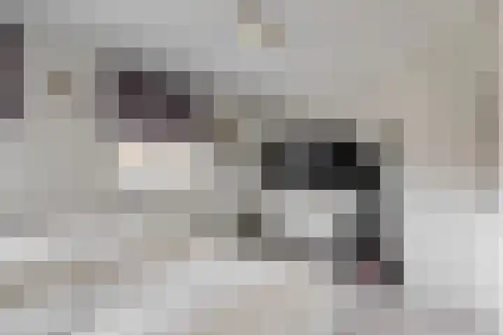 Bosweg 91 Geleen thumbnail 23