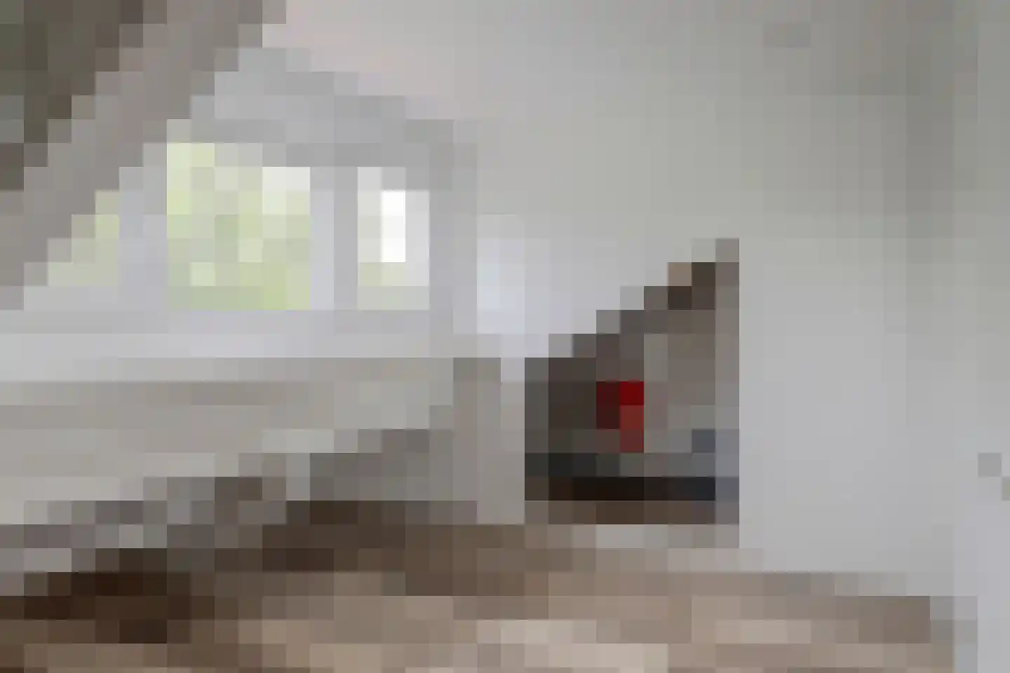 Bosweg 95 Gouda thumbnail 30