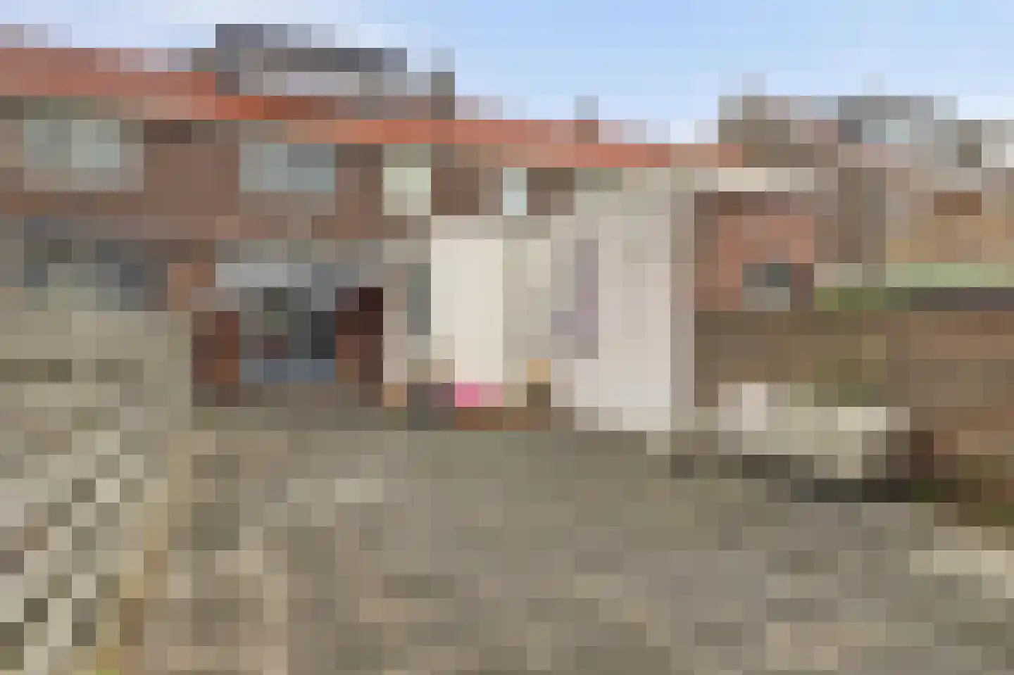 Bosweg 95 Gouda thumbnail 35