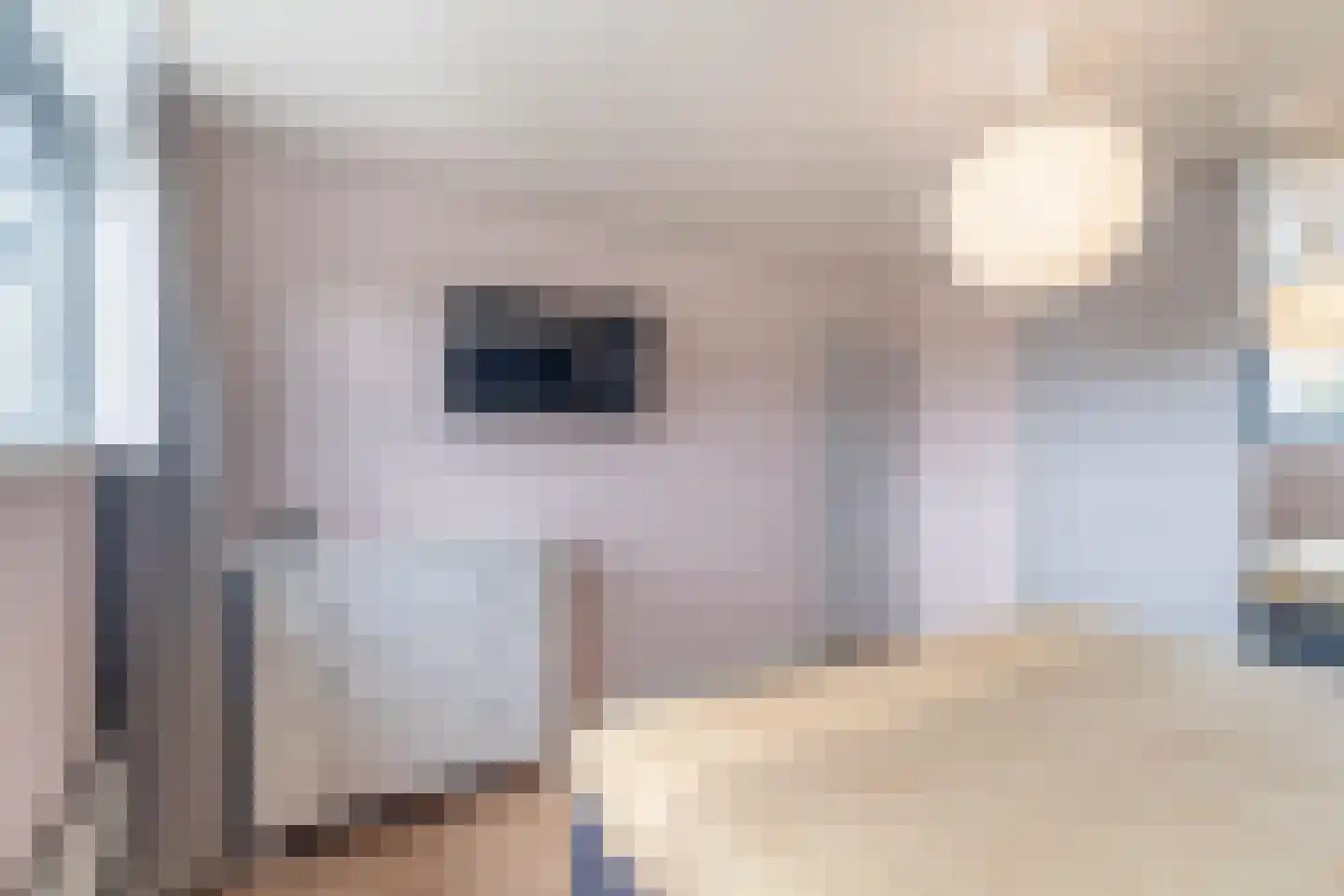 Boswei 16 Stavenisse thumbnail 24