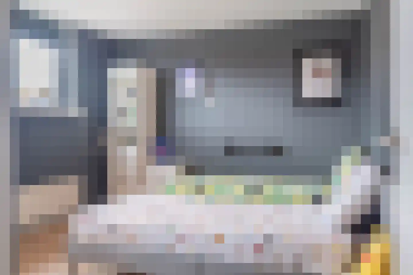 Boswei 16 Stavenisse thumbnail 25