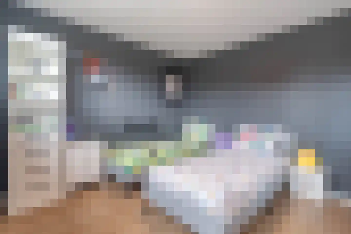 Boswei 16 Stavenisse thumbnail 26