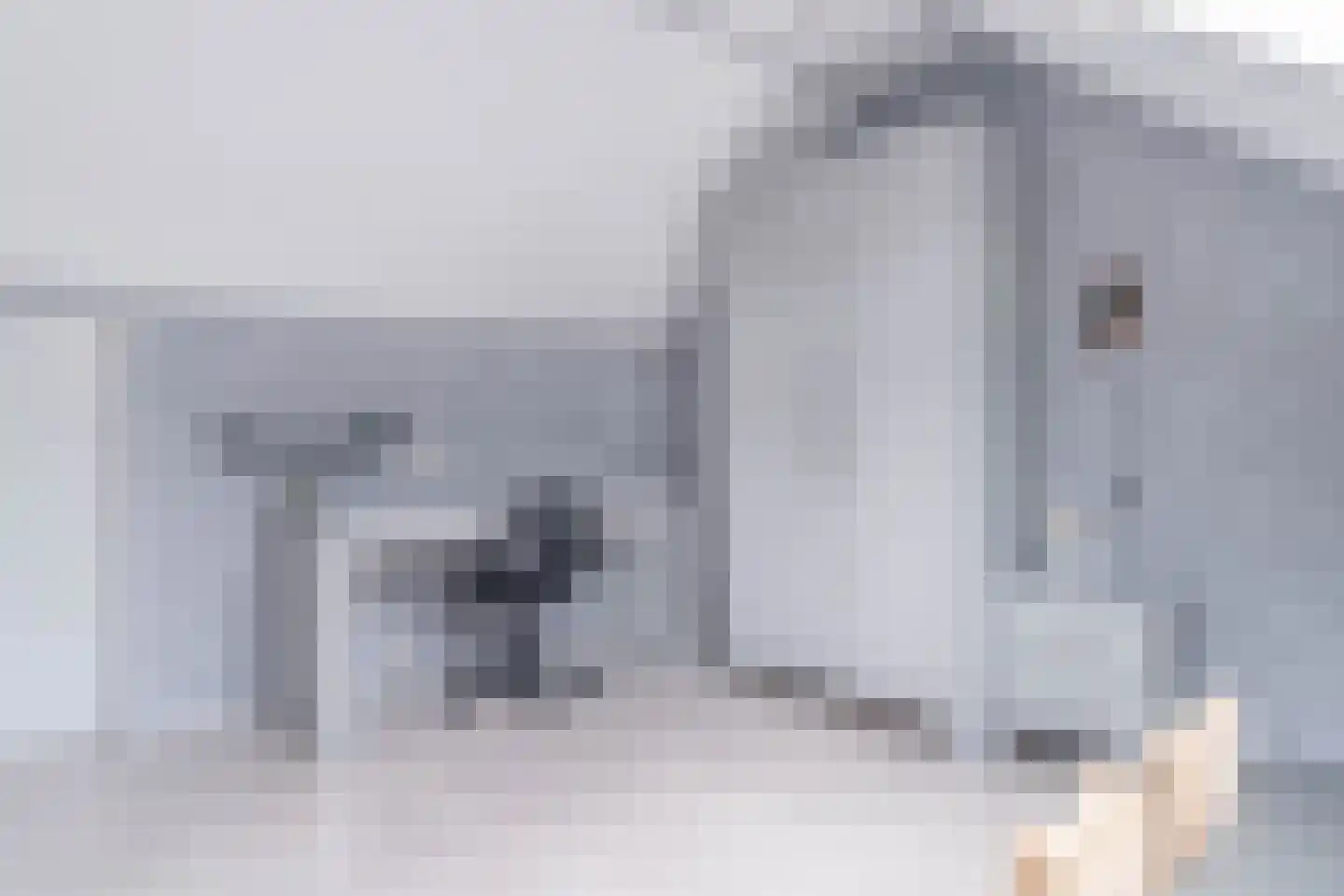 Boswei 16 Stavenisse thumbnail 30