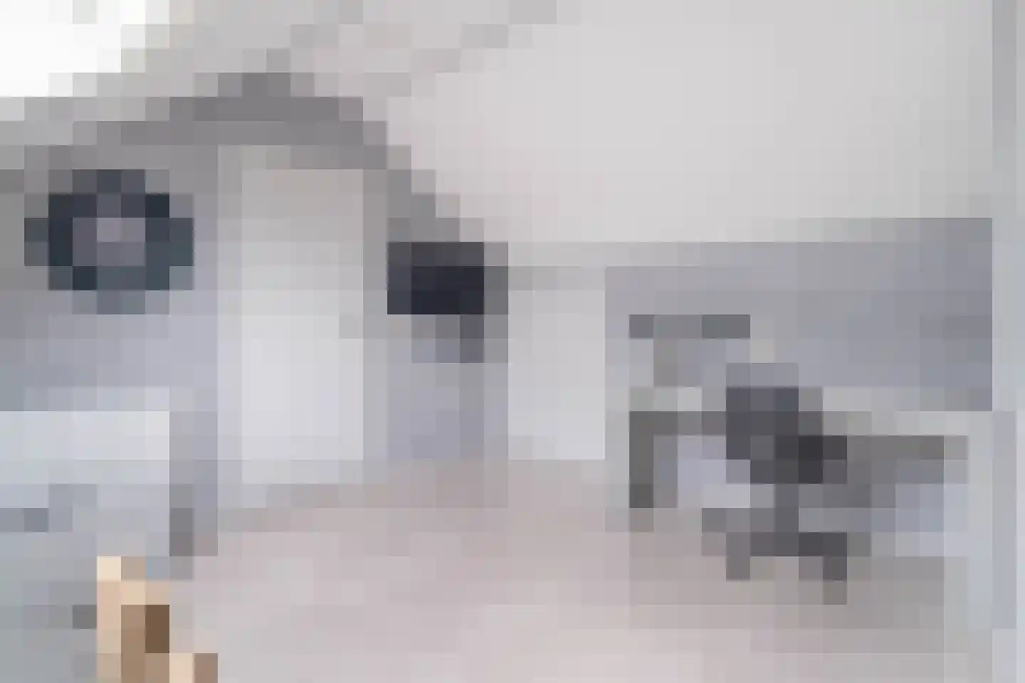 Boswei 16 Stavenisse thumbnail 31