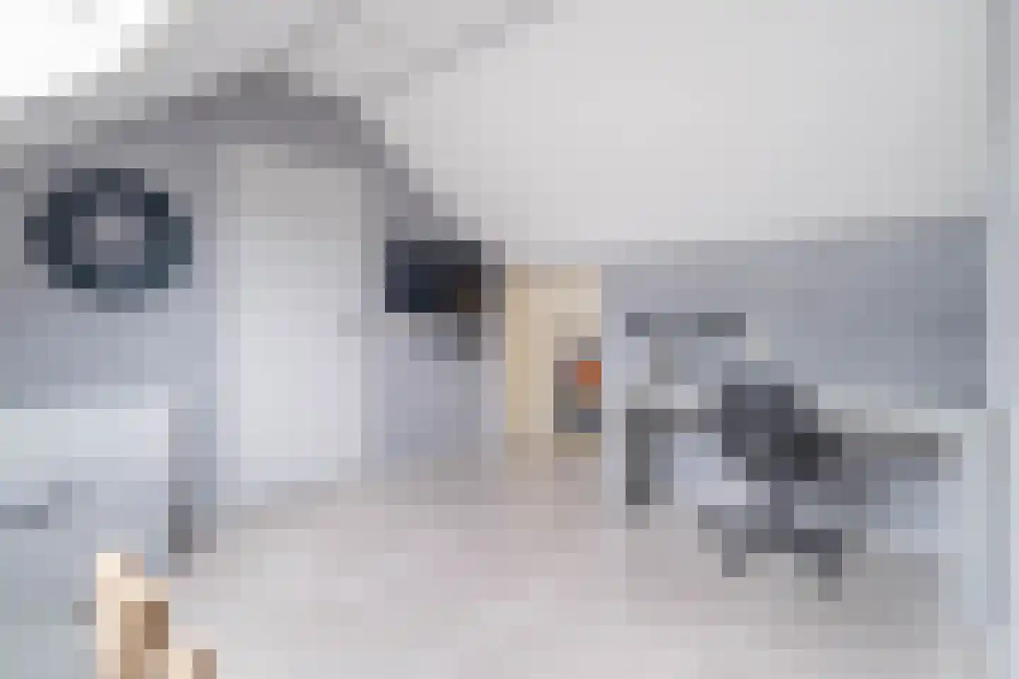 Boswei 16 Stavenisse thumbnail 32