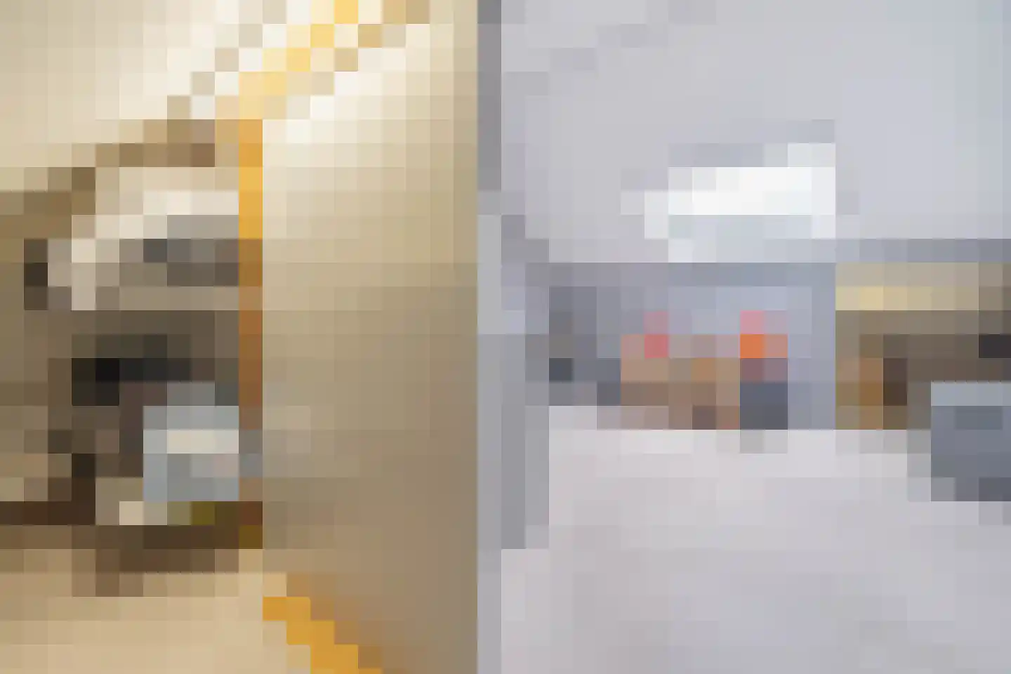 Boswei 16 Stavenisse thumbnail 33