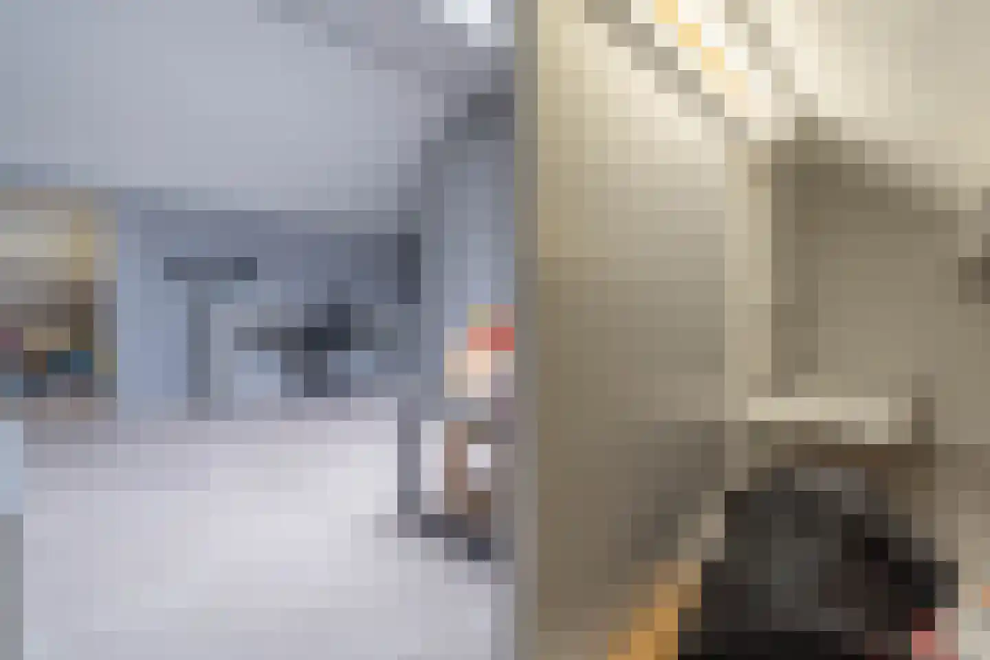 Boswei 16 Stavenisse thumbnail 34