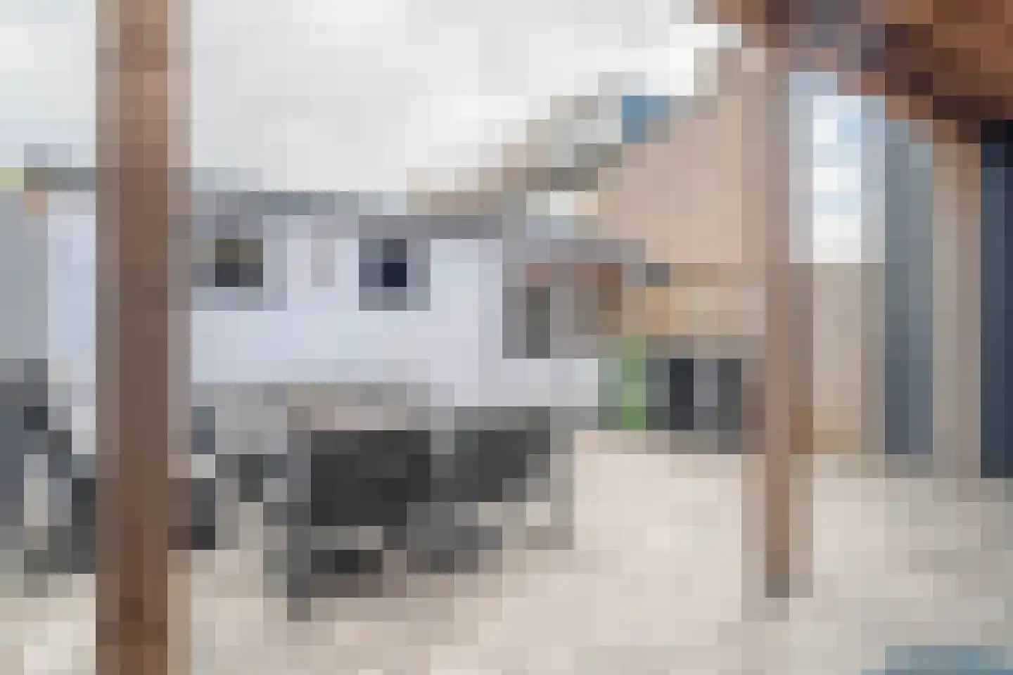 Boswei 16 Stavenisse thumbnail 36