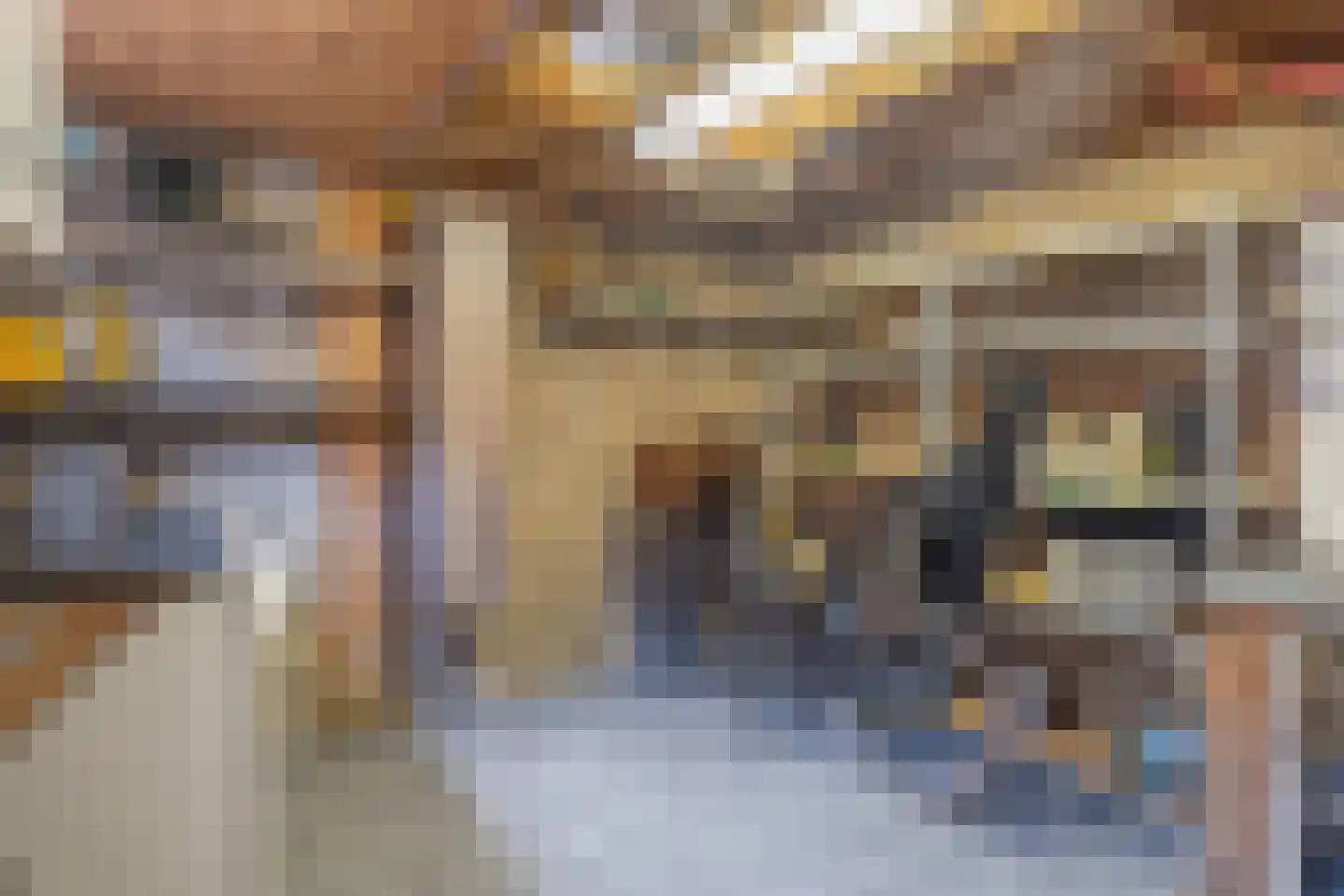 Boswei 16 Stavenisse thumbnail 38