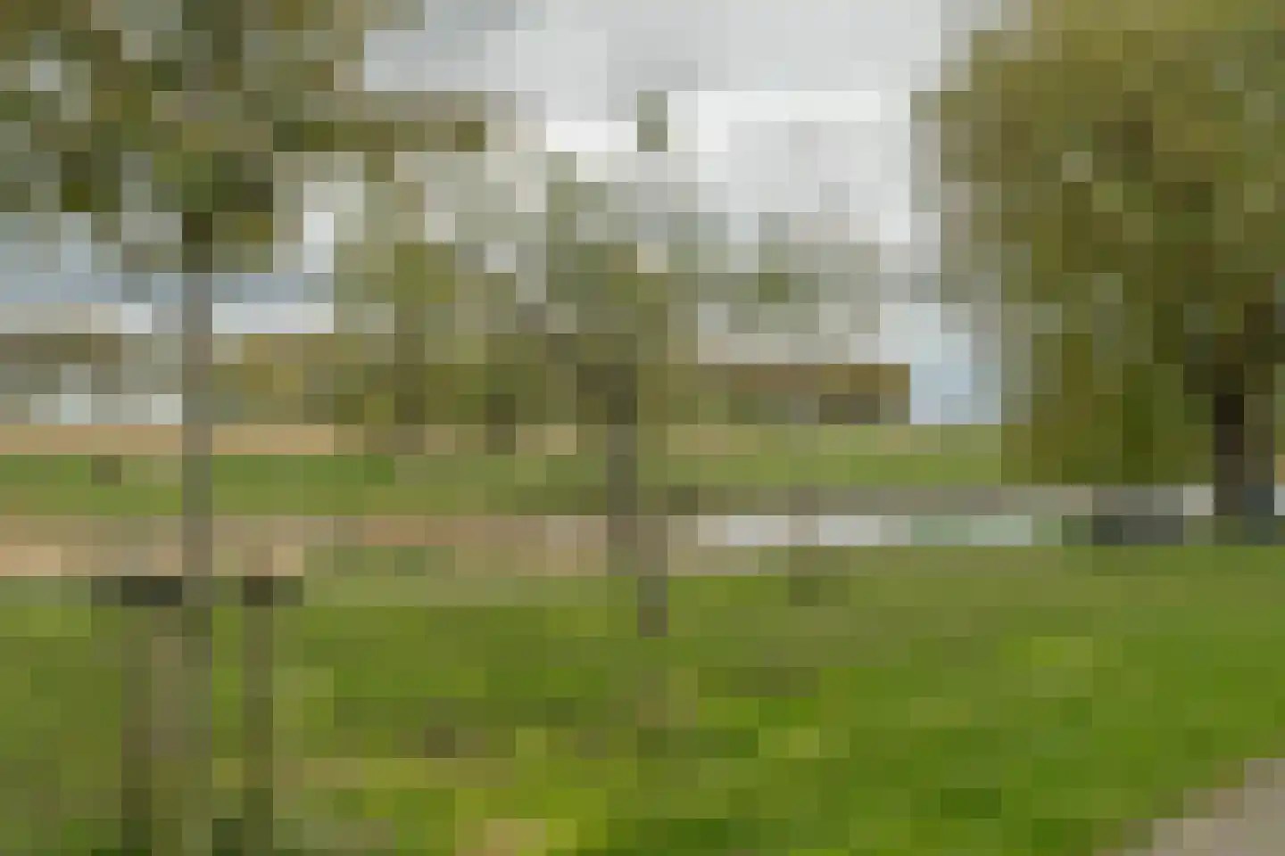 Boswei 16 Stavenisse thumbnail 44