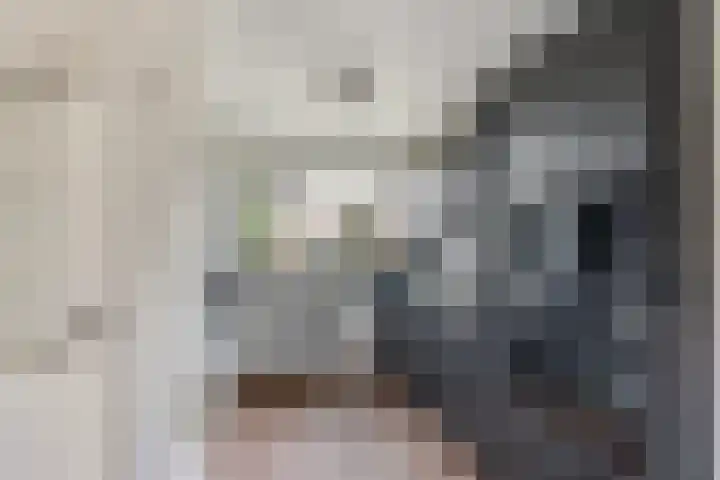 Boswei 6 Stavenisse thumbnail 10