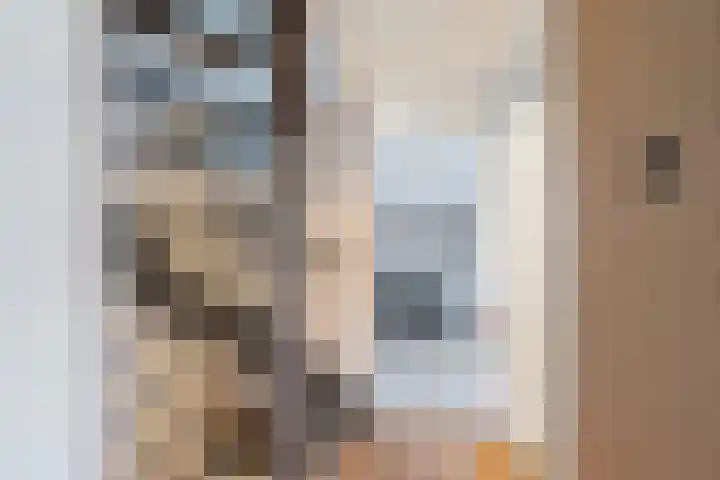 Boswei 6 Stavenisse thumbnail 12