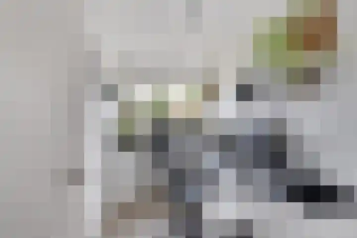 Boswei 6 Stavenisse thumbnail 13