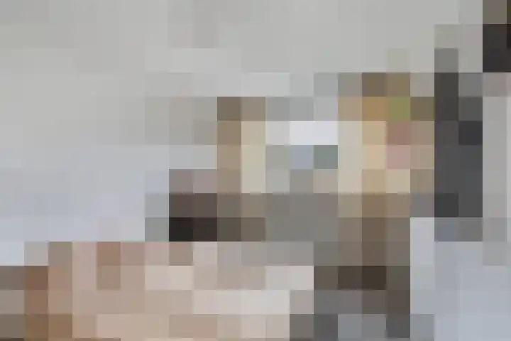Boswei 6 Stavenisse thumbnail 14