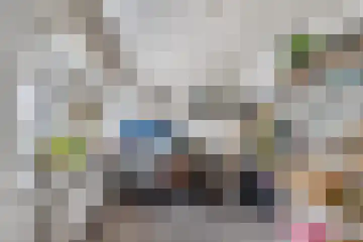 Boswei 6 Stavenisse thumbnail 17