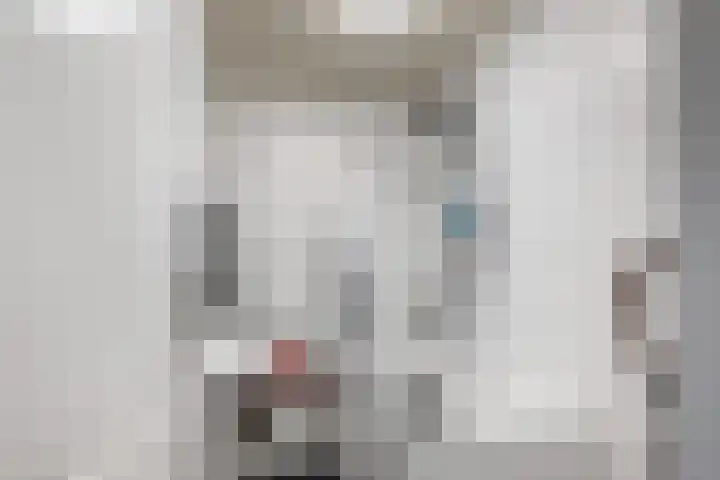 Boswei 6 Stavenisse thumbnail 19