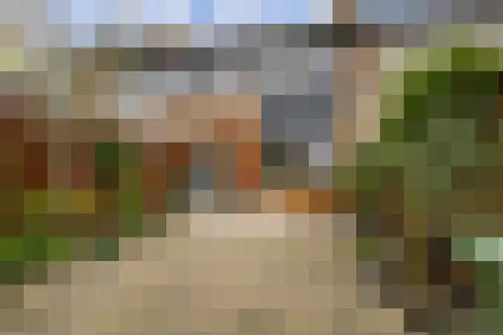 Boswei 6 Stavenisse thumbnail 23