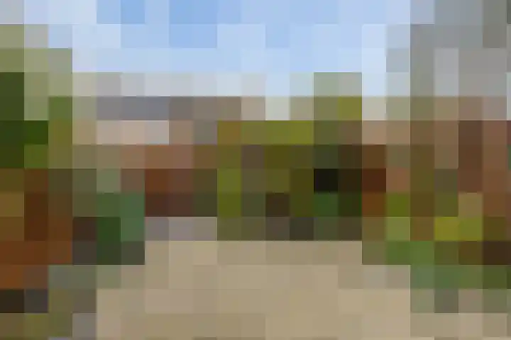 Boswei 6 Stavenisse thumbnail 24