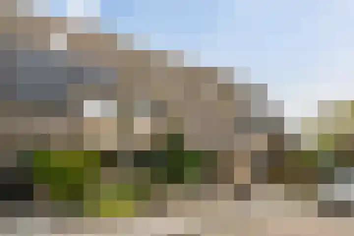 Boswei 6 Stavenisse thumbnail 25