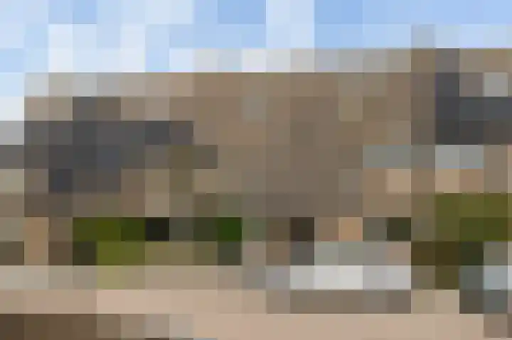 Boswei 6 Stavenisse thumbnail 26