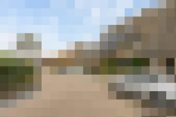 Boswei 6 Stavenisse thumbnail 27