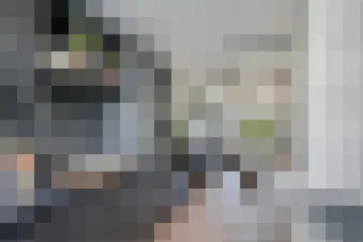 Boswei 6 Stavenisse foto 3