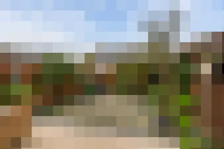 Boswei 6 Stavenisse thumbnail 5