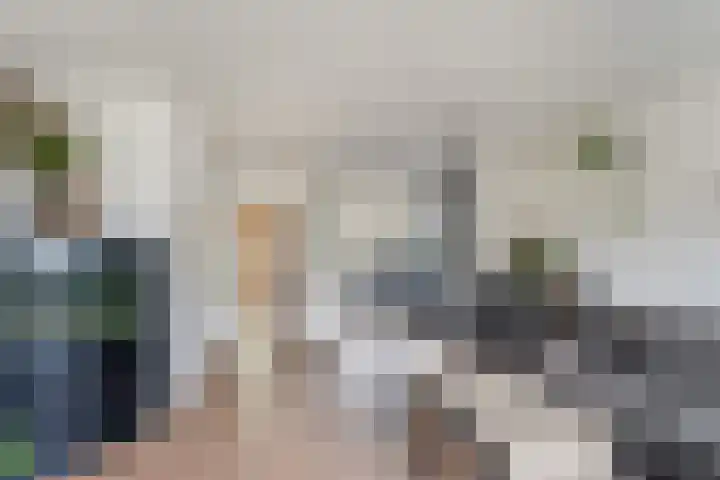 Boswei 6 Stavenisse thumbnail 9