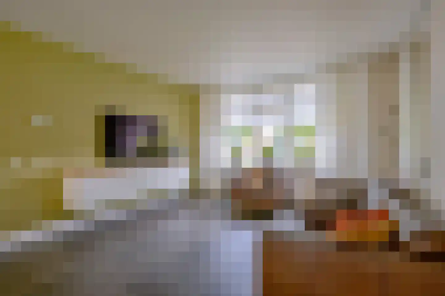 Bosweid 1 Wervershoof thumbnail 10