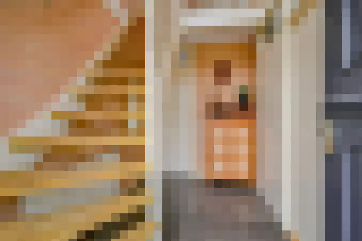 Bosweid 1 Wervershoof thumbnail 13