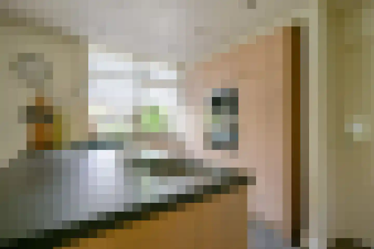 Bosweid 1 Wervershoof thumbnail 15