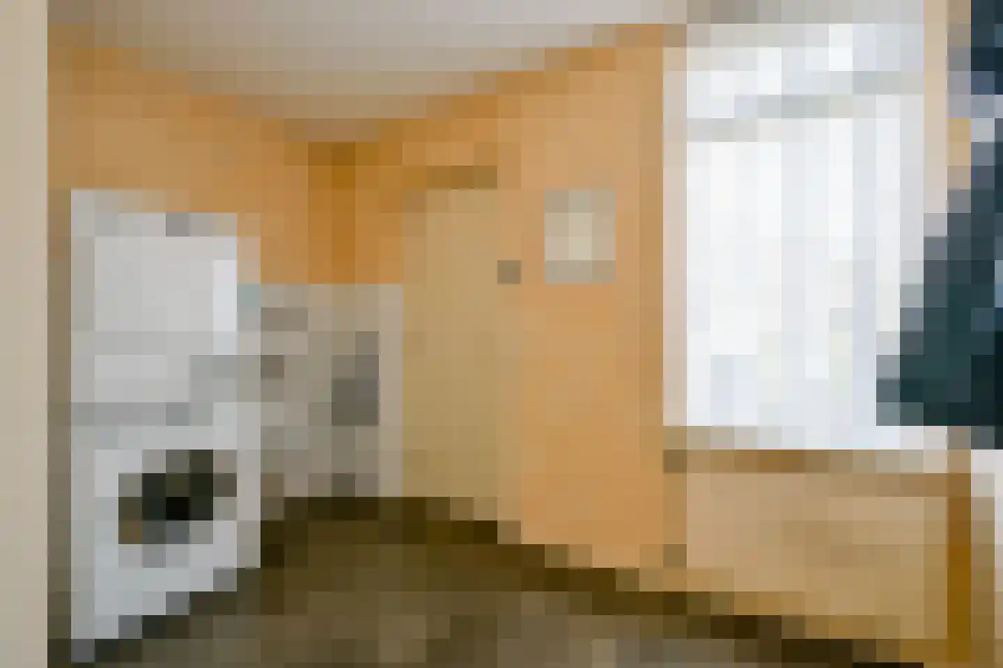 Bosweid 1 Wervershoof thumbnail 20