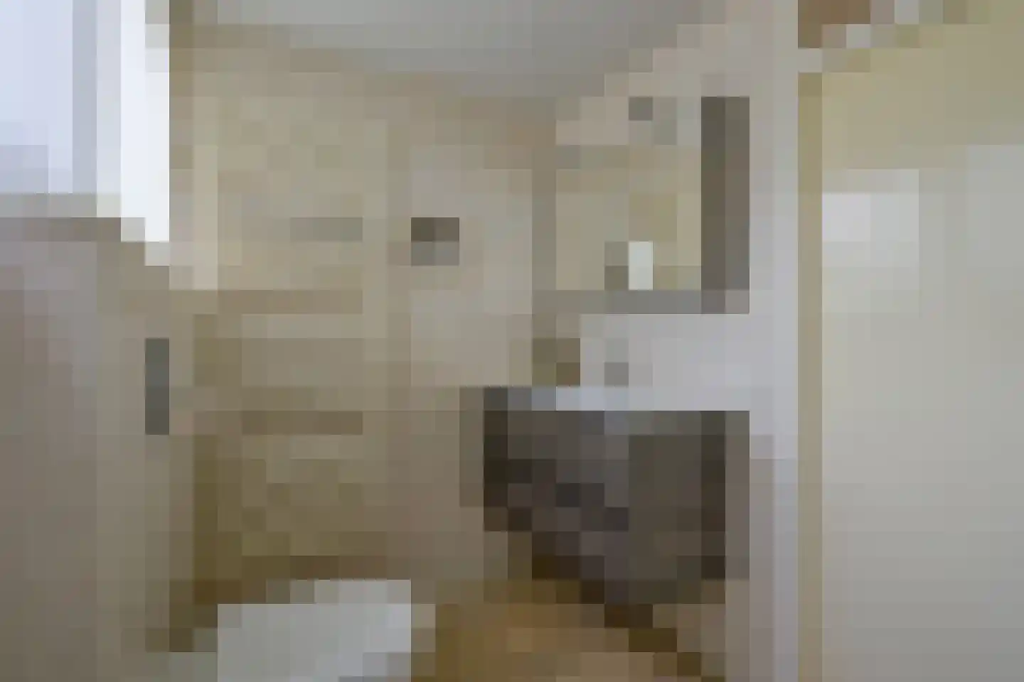 Bosweid 1 Wervershoof thumbnail 36