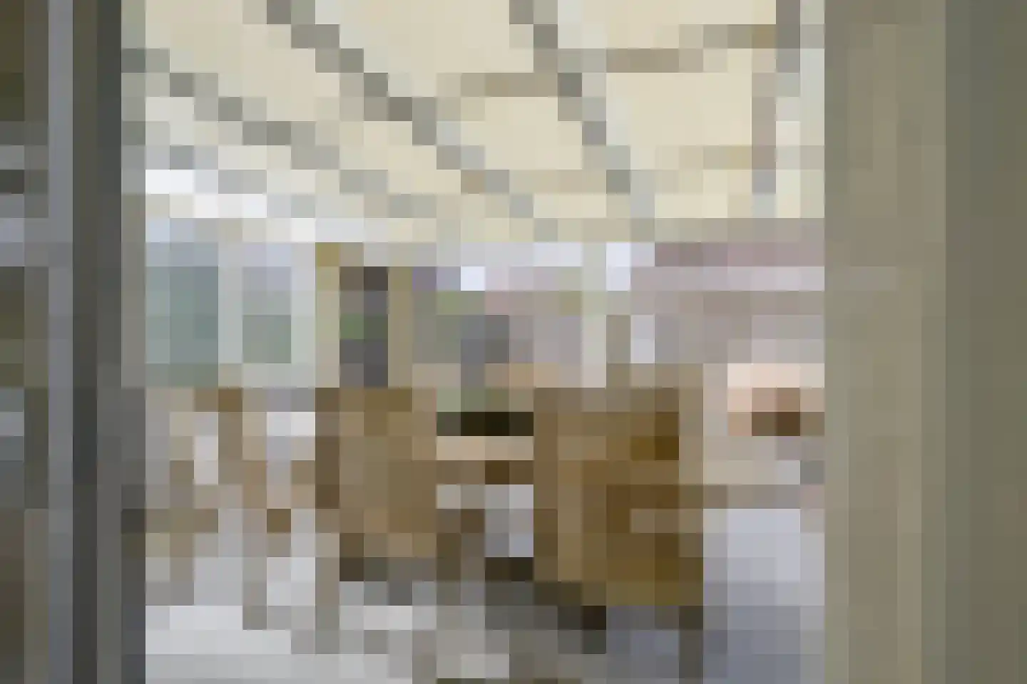 Bosweid 1 Wervershoof thumbnail 37