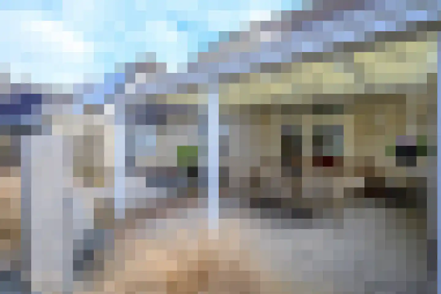 Bosweid 1 Wervershoof thumbnail 40