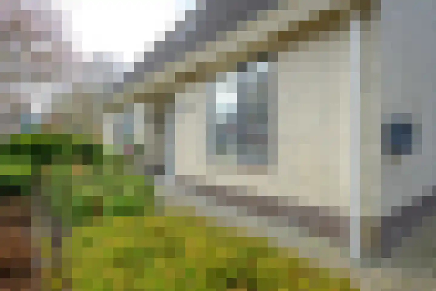 Bosweid 1 Wervershoof thumbnail 41