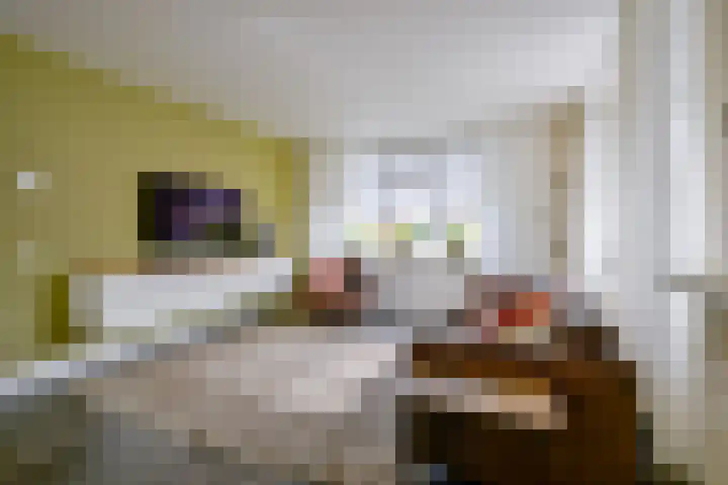 Bosweid 1 Wervershoof thumbnail 7