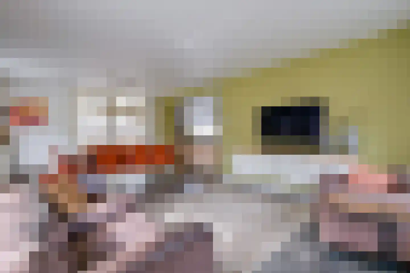 Bosweid 1 Wervershoof thumbnail 8
