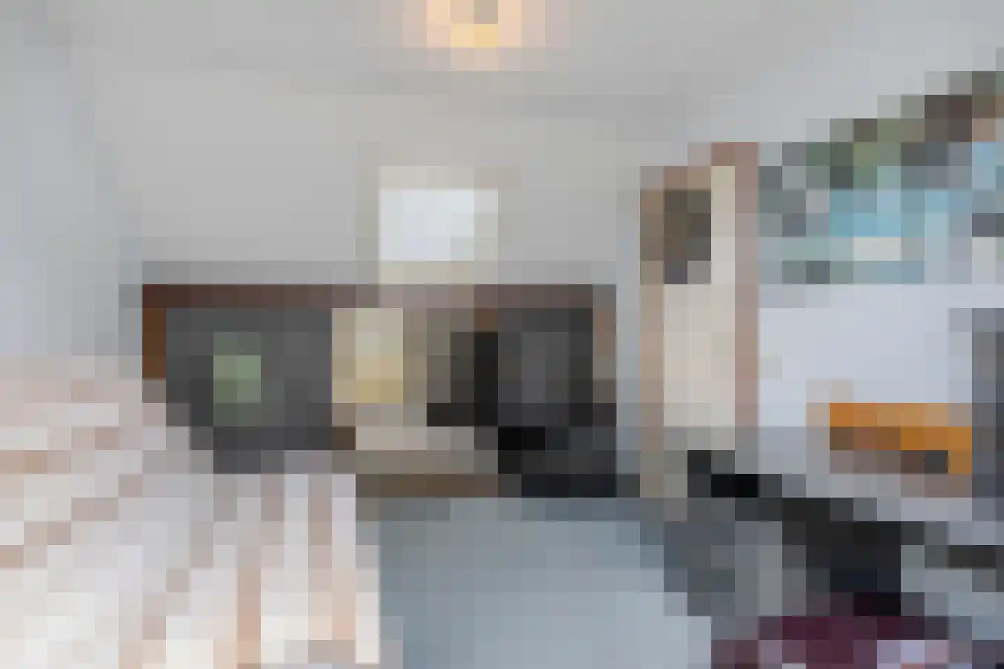 Bosweide 7 Breda thumbnail 33