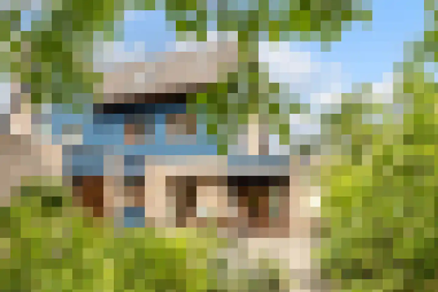 Bosweide 7 Breda thumbnail 39